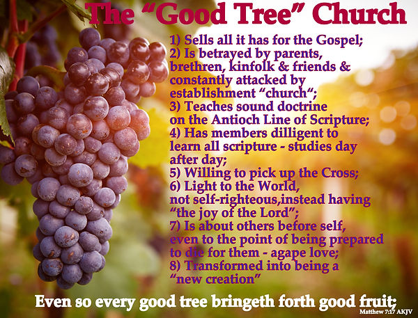 2 GRAPES.jpg