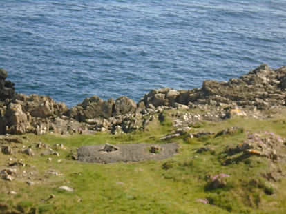 DSC02653.JPG