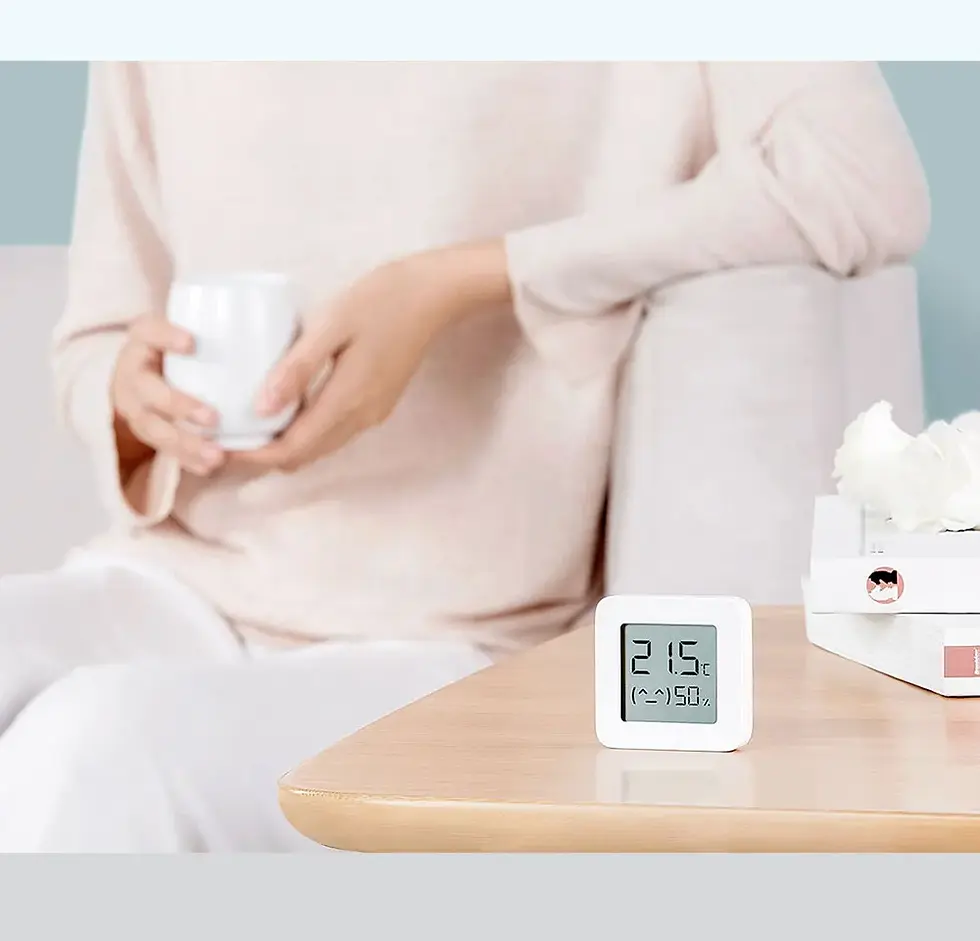 Küçük resim: Mi Temperature and Humidity Monitor 2