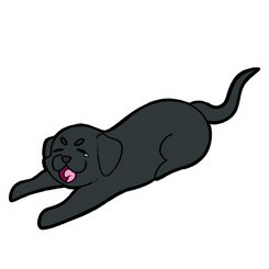 Labs