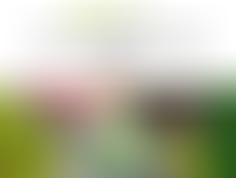 Infolapa: marts 2026 Nr.2