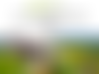 Infolapa: marts 2026 Nr.3