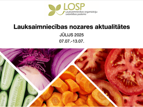 Infolapa: jūlijs 2025 Nr.2