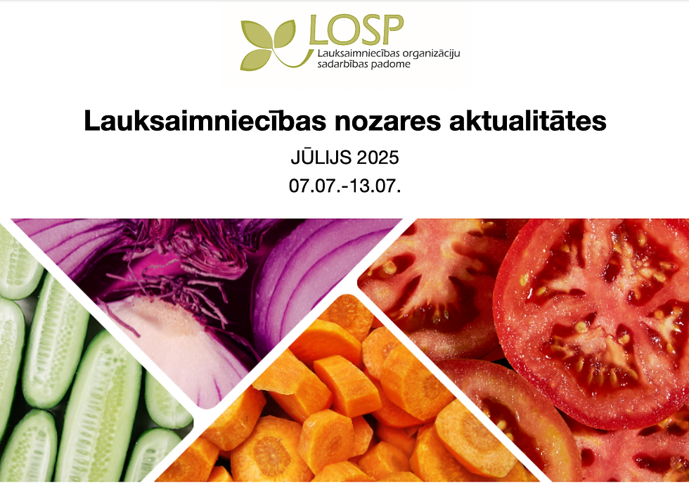 Infolapa: jūlijs 2025 Nr.2