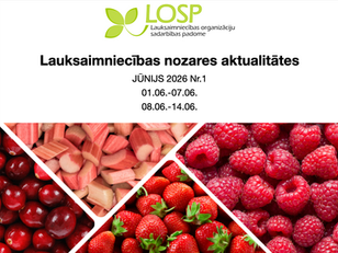 Infolapa: jūnijs 2026 Nr.1