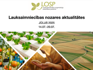 Infolapa: jūlijs 2025 Nr.3