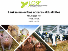 Infolapa: maijs 2026 Nr.4