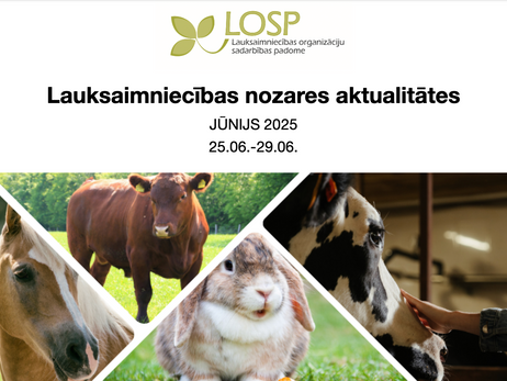 Infolapa: jūnijs 2025 Nr.4