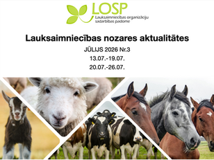 Infolapa: jūlijs 2026 Nr.3