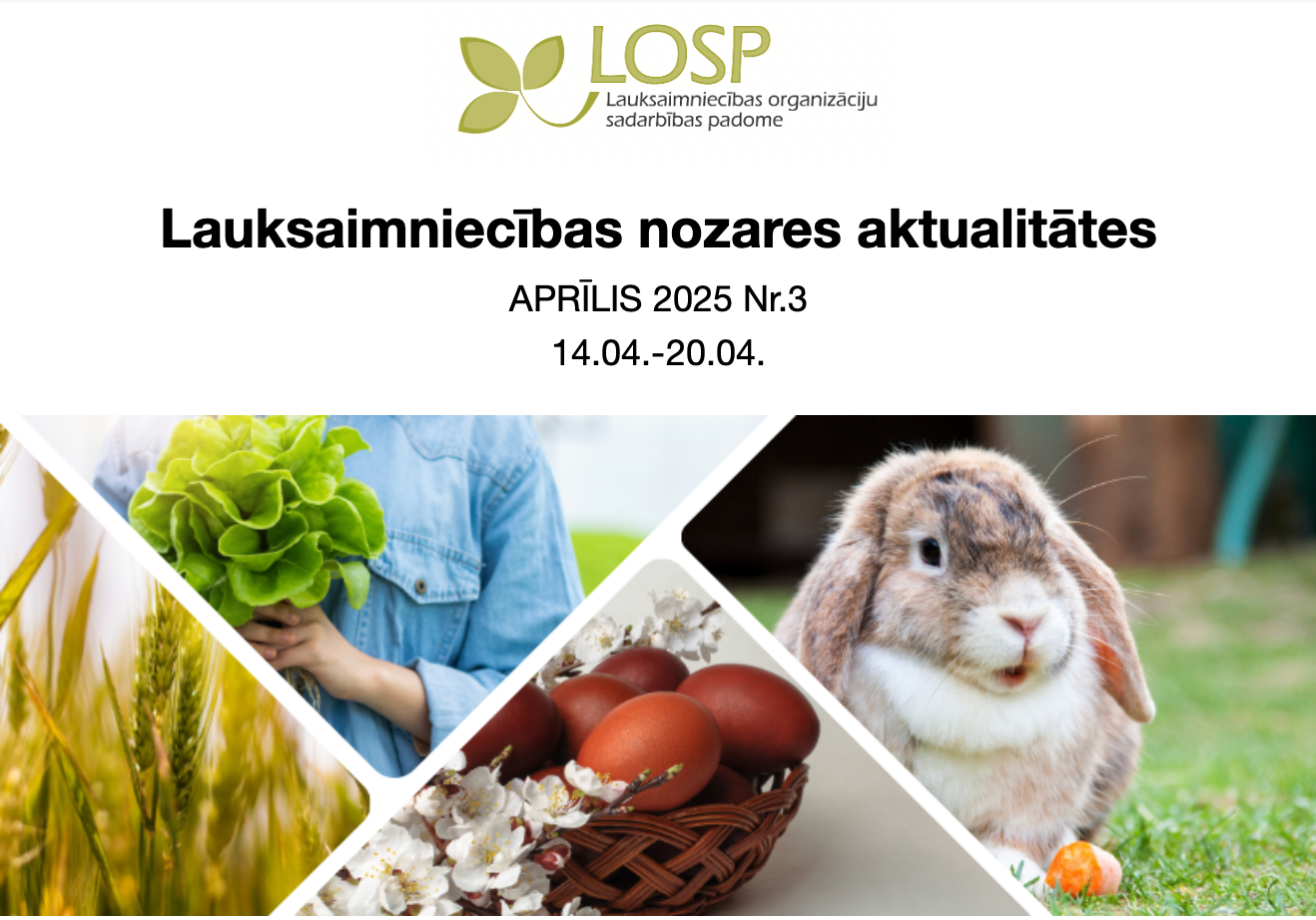 Infolapa Apr lis 2025 Nr 3 Infolapa Apr lis 2025 Nr 3