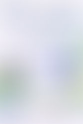 Գործընկերների որոնում Ստեղծագործ Եվրոպա ծրագրի շրջանակներում