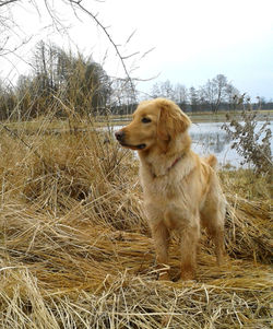 20170223_082542_bearbeitet