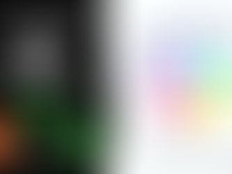 The Mission... The Outcomes