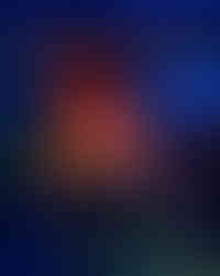 IMG-20240131-WA0005