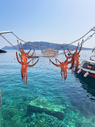 Greece, Santorini, Oia, caldera, white cliff side, Ammoudi Bay, donkeys, ammoudi bay 300 steps, bottom of ammoudi bay, octopus,