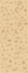 Forge-header-map-full-light-long.jpg