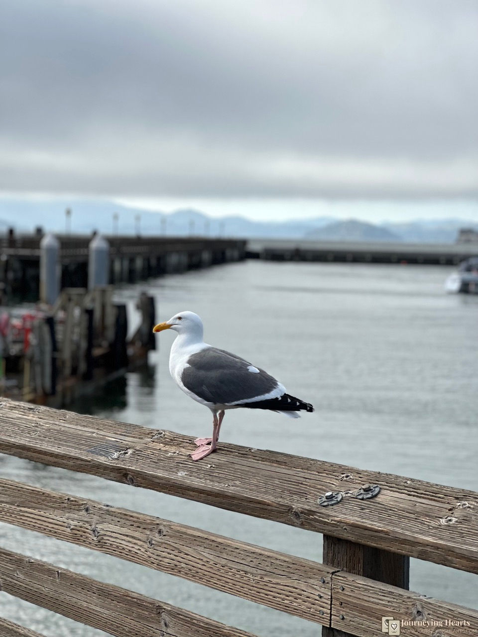 Fisherman's Wharf