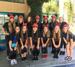 VCC Disneyland Day 2017
