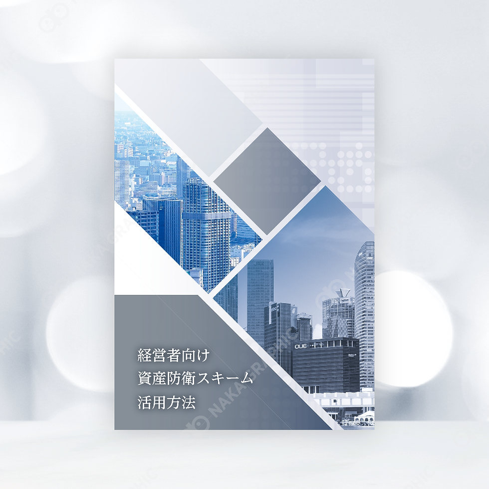 経営者向け資産防衛スキーム活用方法パンフレット