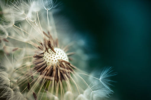 Laurie Armengaud, sophrologue à Pessac