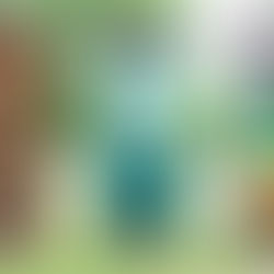 Painting Infopanels in Innsbruck with Lukas Goller and Hnrx