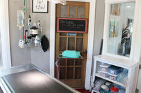 Gulley Park Pets Clinic Surgery Room.JPG