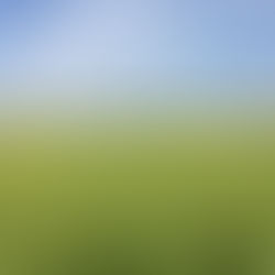 欲しいものはない