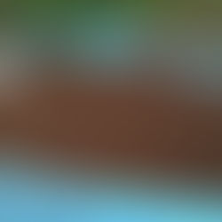 再・土壁用の土づくり２