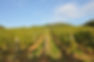 DSC_1752.JPG