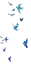 download (4)_edited.png