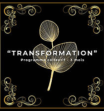 Transformation - programme collectif.jpg