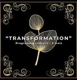 Transformation - programme collectif.jpg