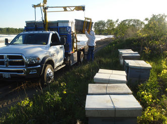 Hives ready to be picked up and moved to another location.