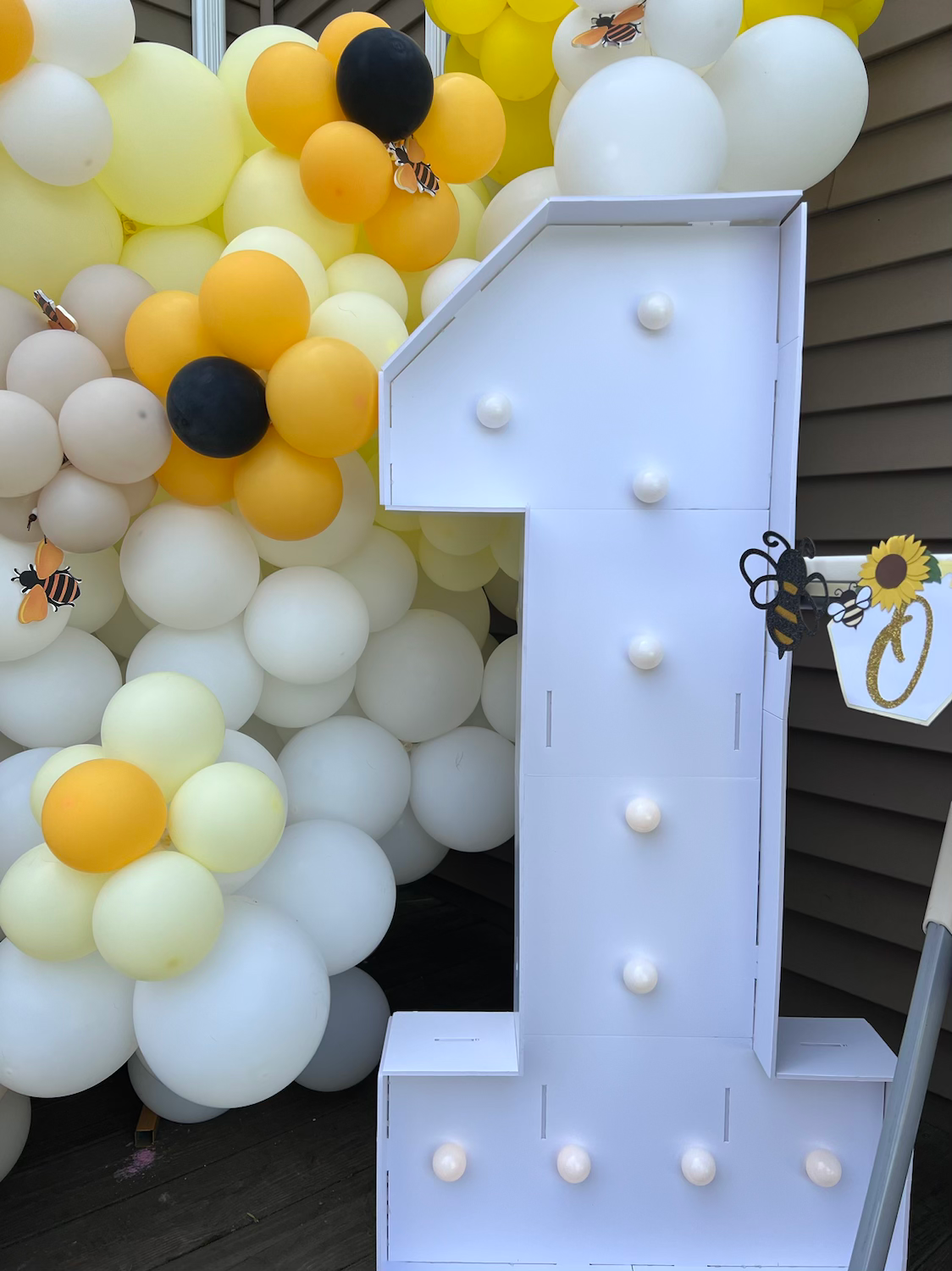 Balloon Garland