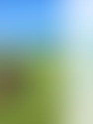 Want to Stay Stronger Longer? Do This!