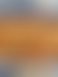 Simple Zucchini Bread