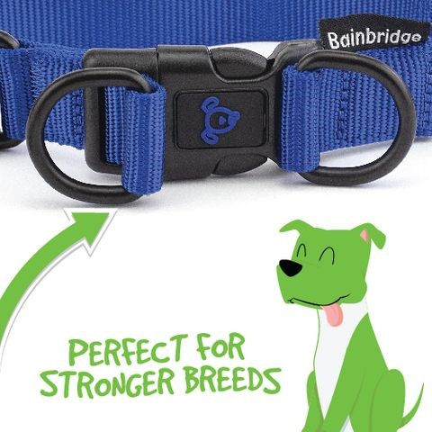 Thumbnail: NYLON DOUBLE DOG COLLAR - BAINBRIDGE