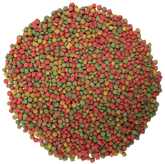 Thumbnail: Lizard Food- Juvenile - URS - IPZ