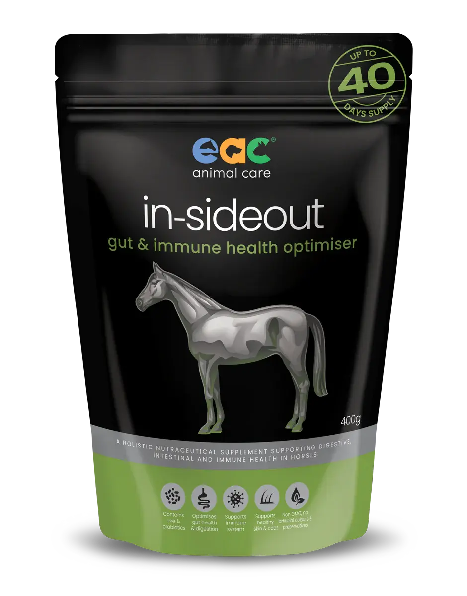 Inside-Out Horse Care-EVOLUTION ANIMAL CARE