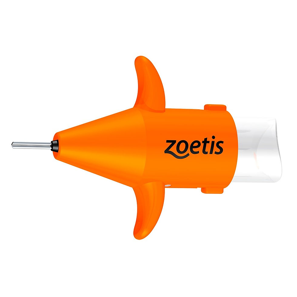 Pet Supplies Bringelly Pet & Stockfeed Kemps Creek Sydney