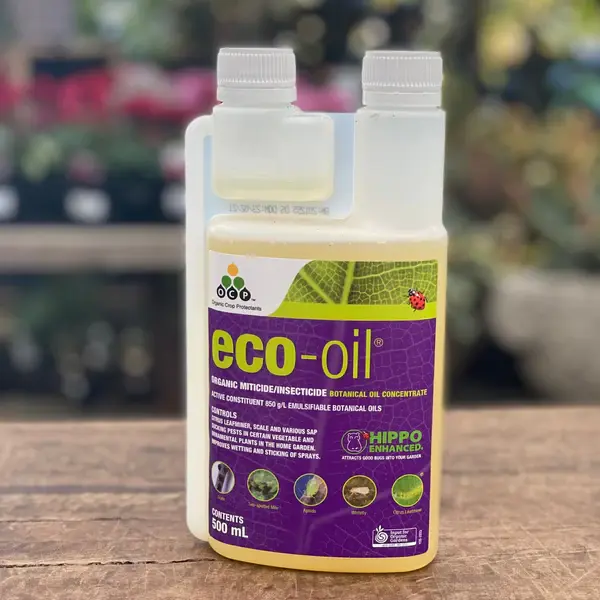 Thumbnail: Eco-Oil Hippo-YATES
