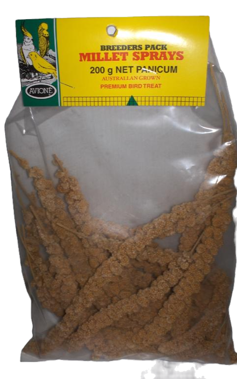 Pan Millet - AVIONE - CP