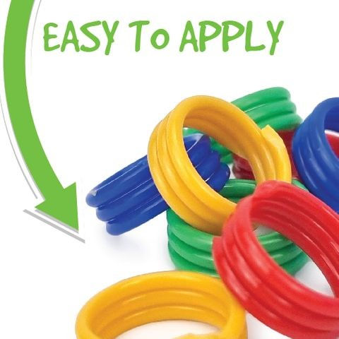 Thumbnail: Poultry Spiral Leg Bands 16mm 20pk - BAINBRIDGE