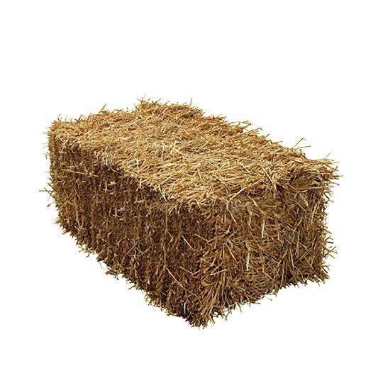 Straw bale- HAY