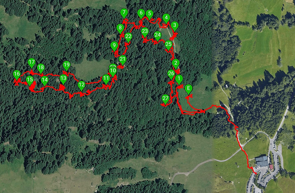 Wildbach.jpg