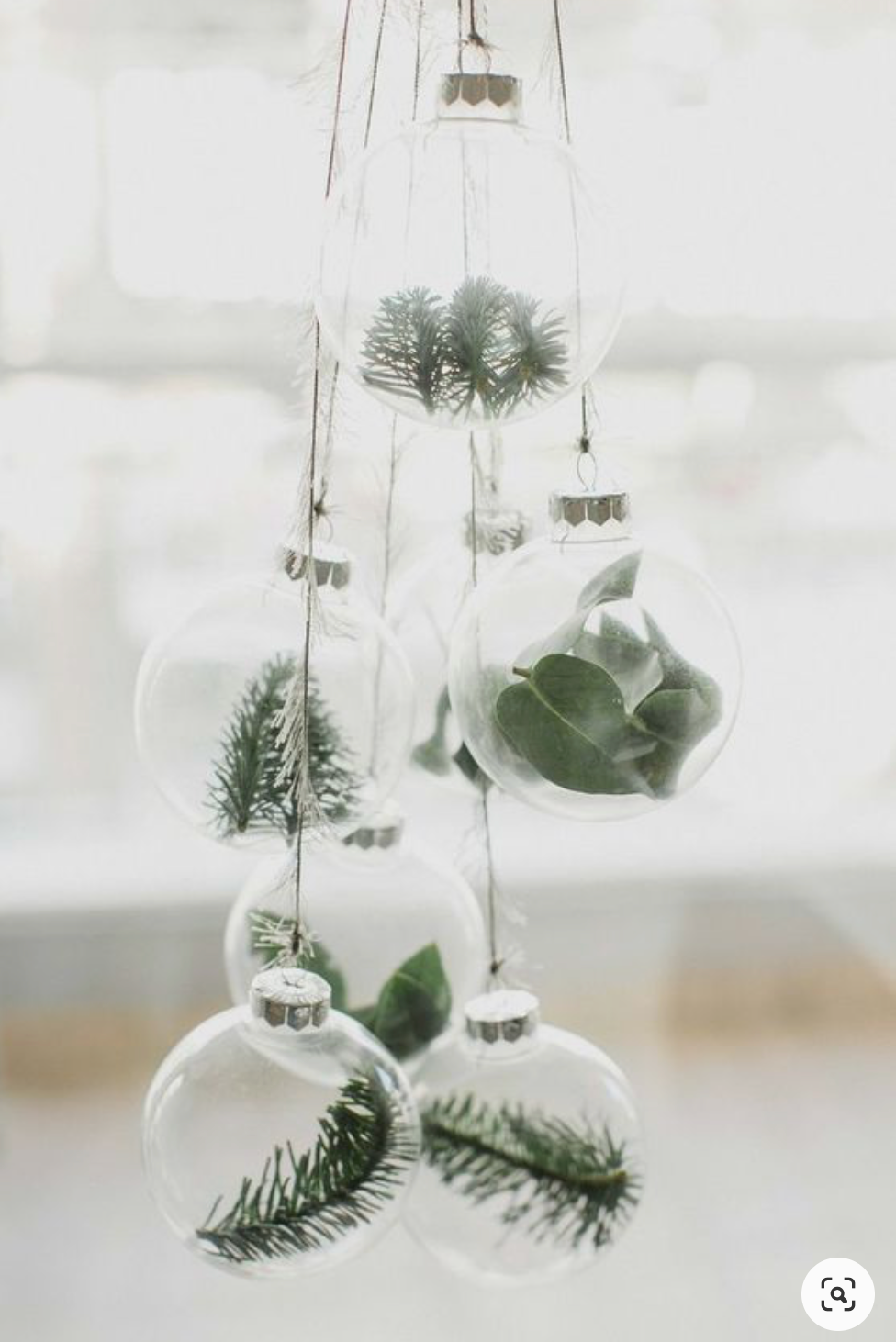 Christmas decorating clear ornaments filled with evergreen