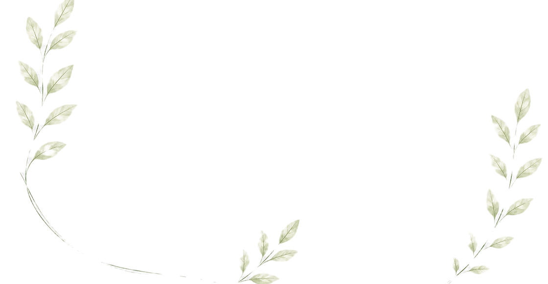 Fundo somente folhas inicial1_edited.png