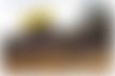 QMines’s Mt Chalmers rides on strong PFS results as it seeks to be Australia's first zero-carbon copper producer