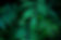 Green Leaves