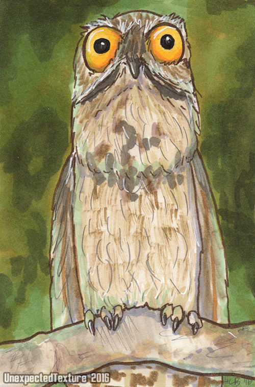 The Noble Potoo